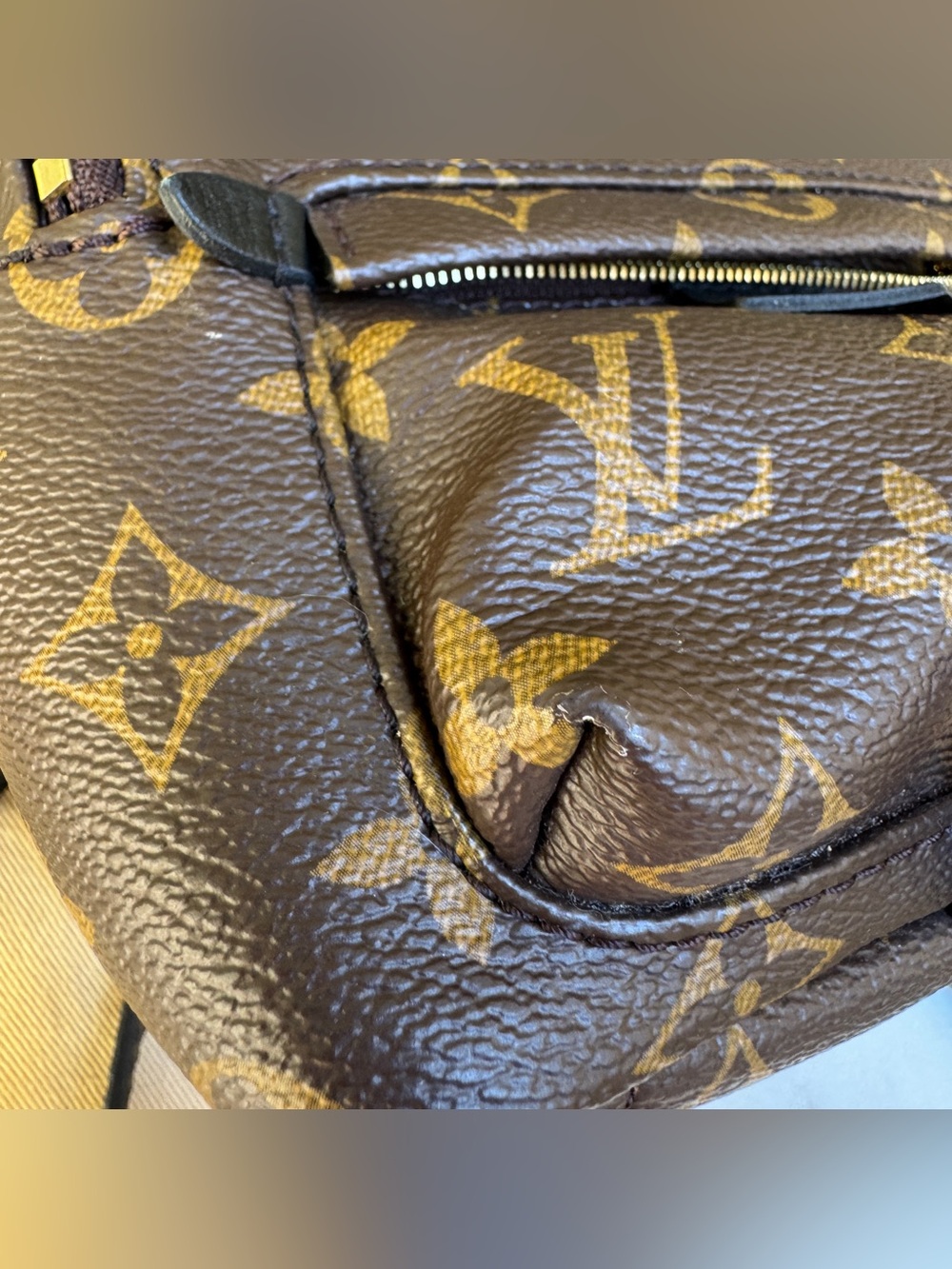 Louis Vuitton Monogram Mini Palm Springs Backpack - Picture 5 of 16